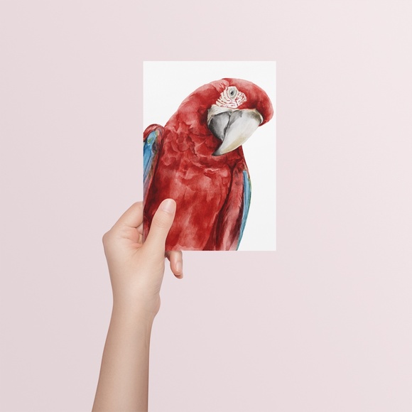 Red Macaw Parrot Watercolor Wall Art Print Poster Unframed - Picture 7 of 9